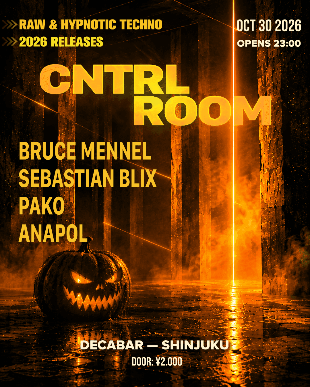 CNTRL ROOM flyer