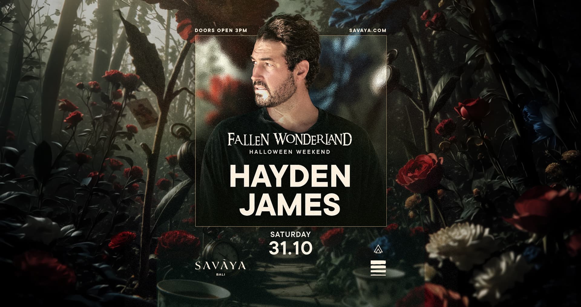 Fallen Wonderland: Hayden James flyer - image 3 of 4