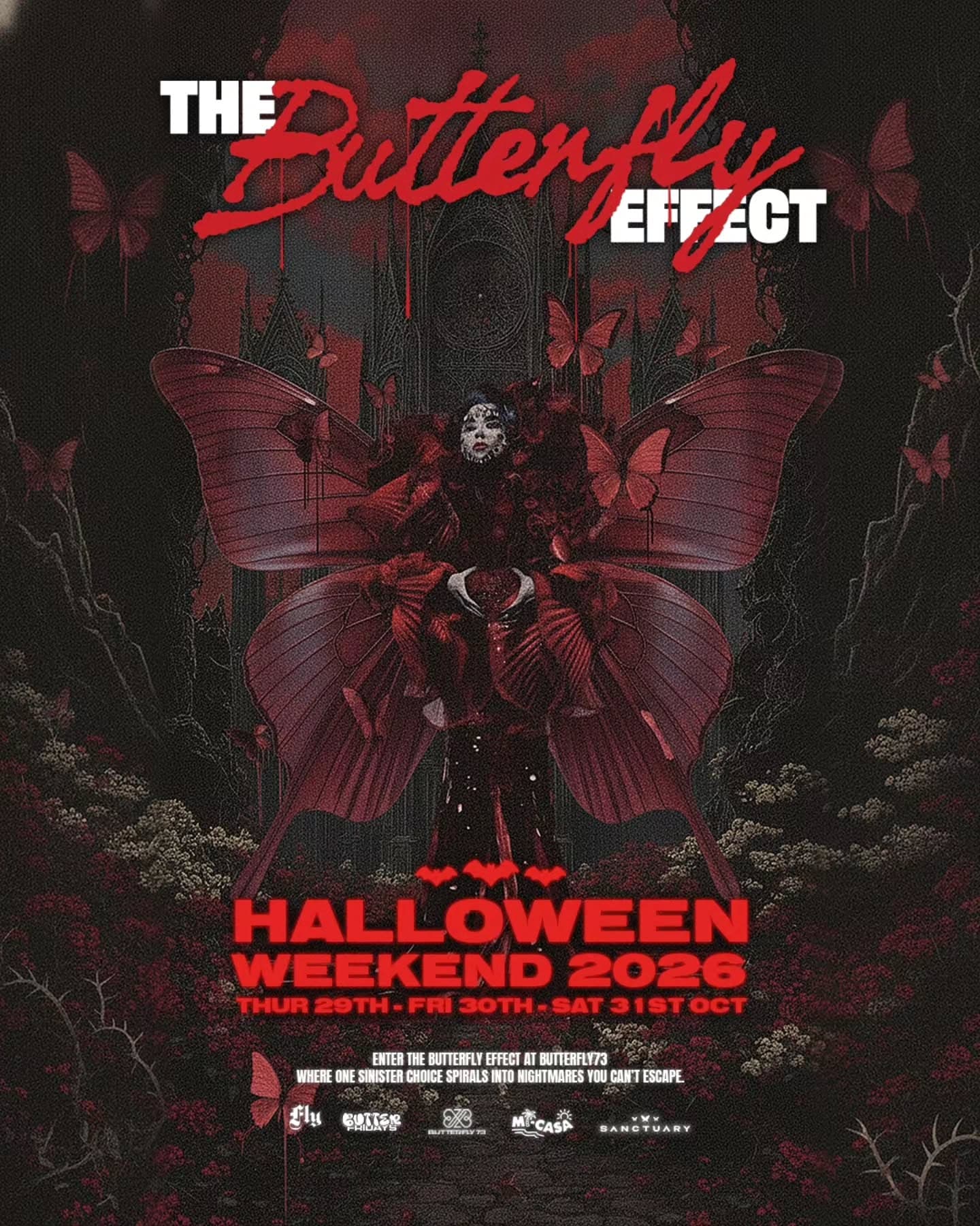 THE BUTTERFLY EFFECT flyer