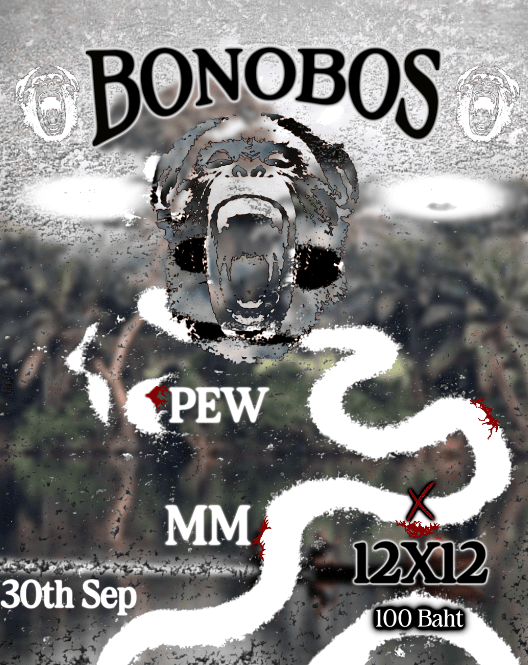 Bonobos at 12x12 flyer