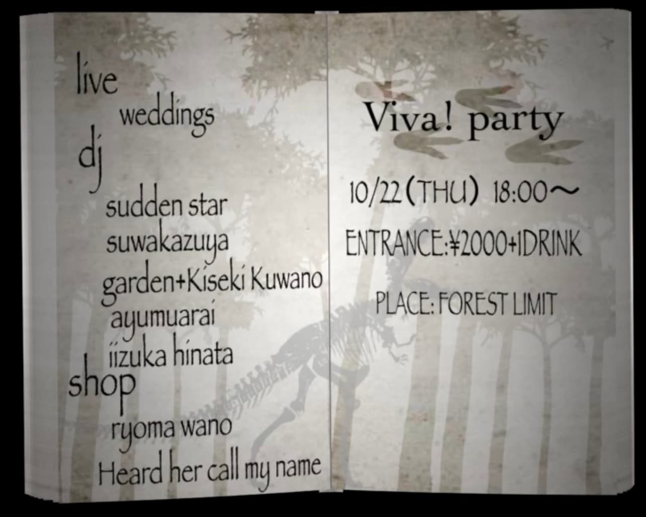 Viva! party flyer