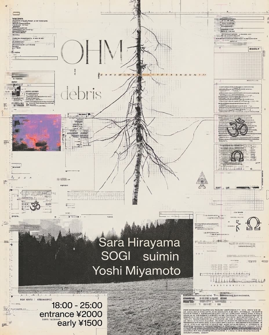 OHM flyer