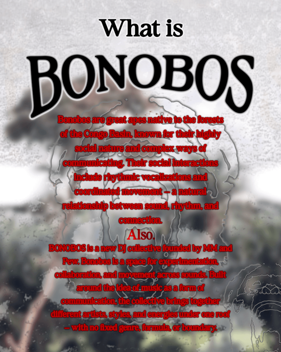 Bonobos at 12x12 flyer - image 2 of 2